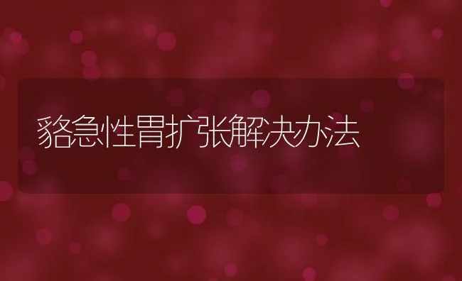 貉急性胃扩张解决办法 | 水产养殖知识