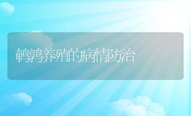 鹌鹑养殖的病情防治 | 水产养殖知识