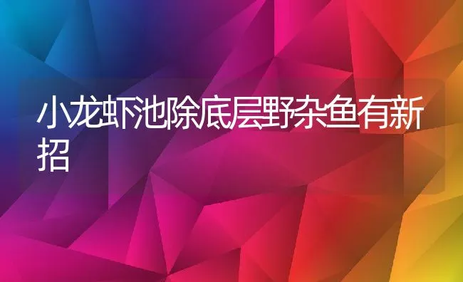 小龙虾池除底层野杂鱼有新招 | 动物养殖饲料