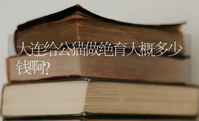 大连给公猫做绝育大概多少钱啊？ | 动物养殖问答