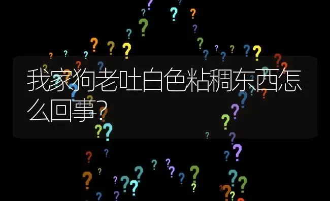 我家狗老吐白色粘稠东西怎么回事？ | 动物养殖问答