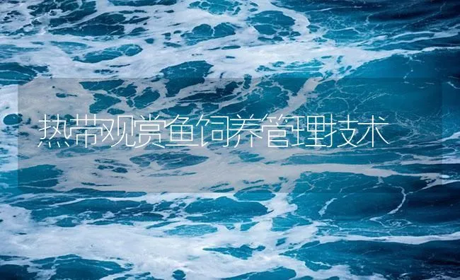 热带观赏鱼饲养管理技术 | 海水养殖技术