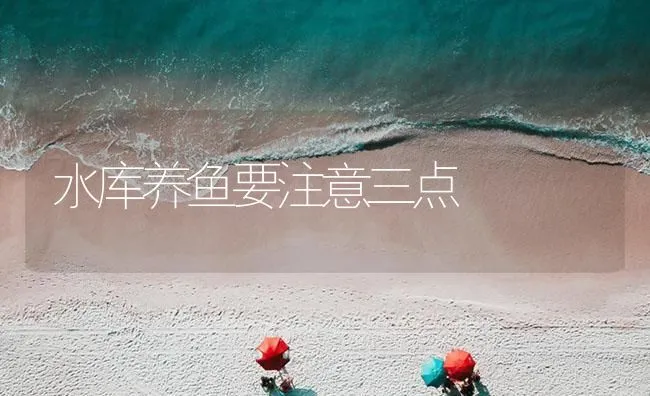 水库养鱼要注意三点 | 海水养殖技术