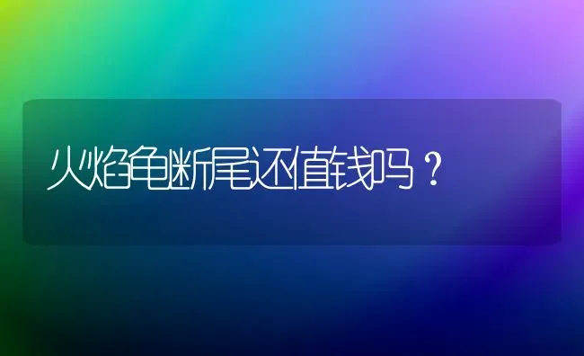 火焰龟断尾还值钱吗？ | 动物养殖问答