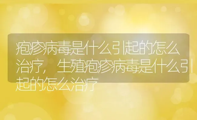 疱疹病毒是什么引起的怎么治疗,生殖疱疹病毒是什么引起的怎么治疗 | 宠物百科知识