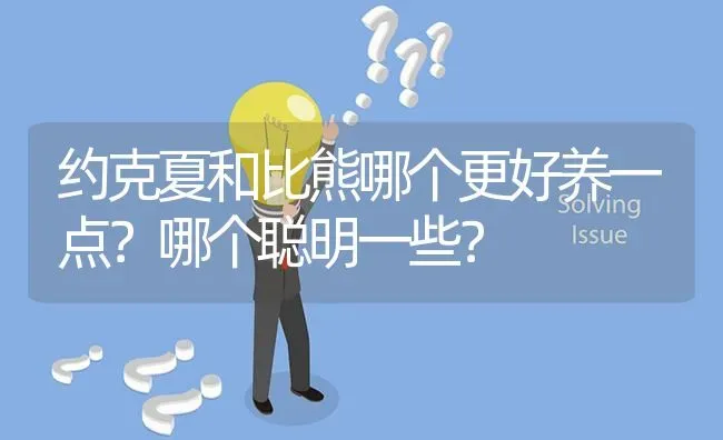 加纳利犬和卡斯罗有什么不同？ | 动物养殖问答