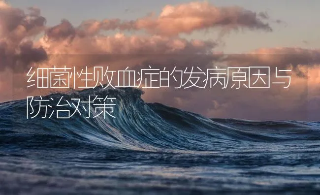 罗非鱼半咸水及海水养殖技术 | 海水养殖技术