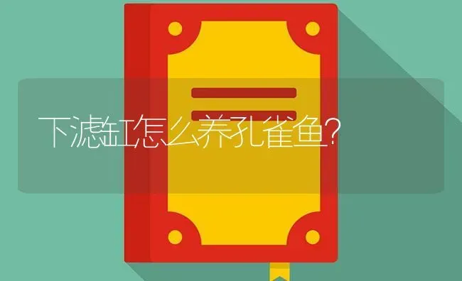 下滤缸怎么养孔雀鱼？ | 鱼类宠物饲养