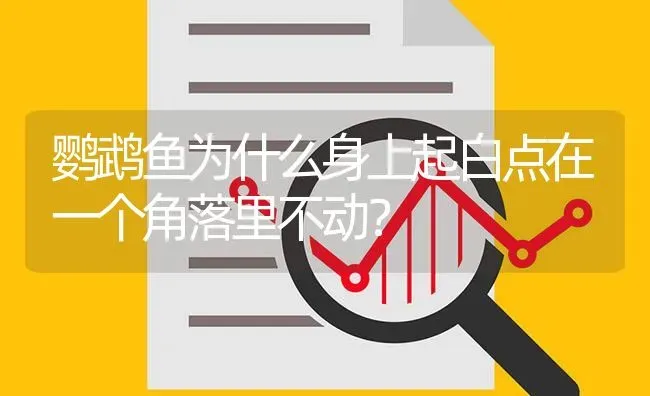 鹦鹉鱼为什么身上起白点在一个角落里不动？ | 鱼类宠物饲养