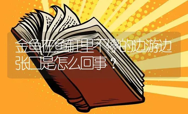 金鱼在鱼缸里不停的边游边张口是怎么回事？ | 鱼类宠物饲养