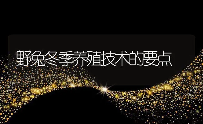 野兔冬季养殖技术的要点 | 动物养殖饲料