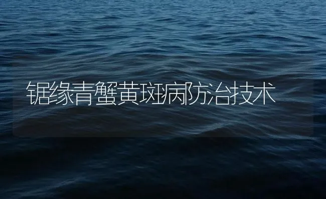 锯缘青蟹黄斑病防治技术 | 海水养殖技术