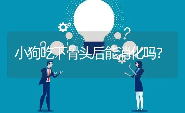 小狗吃下骨头后能消化吗？ | 动物养殖问答
