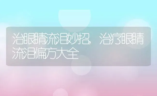 治眼睛流泪妙招,治疗眼睛流泪偏方大全 | 宠物百科知识