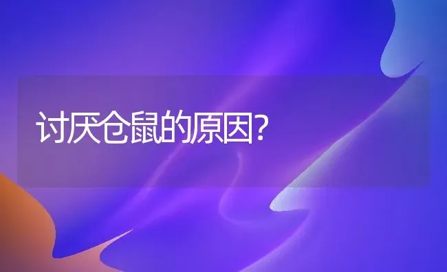 讨厌仓鼠的原因？ | 动物养殖问答