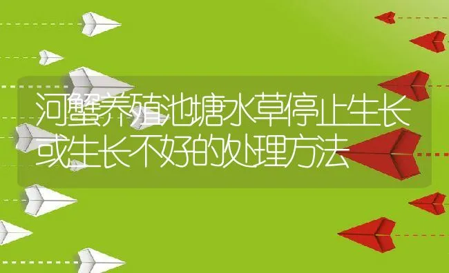 河蟹养殖池塘水草停止生长或生长不好的处理方法 | 动物养殖饲料