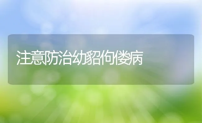 注意防治幼貂佝偻病 | 水产养殖知识