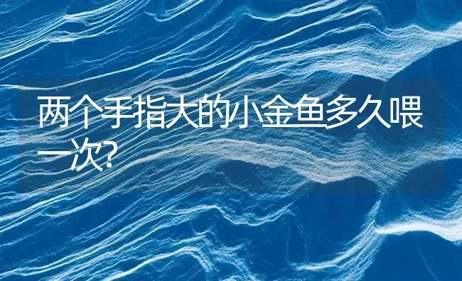 两个手指大的小金鱼多久喂一次？ | 鱼类宠物饲养