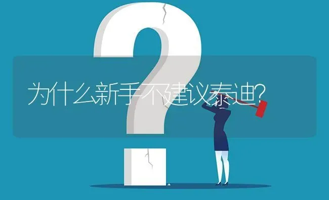 小狗狗得了细小还能救吗？ | 动物养殖问答