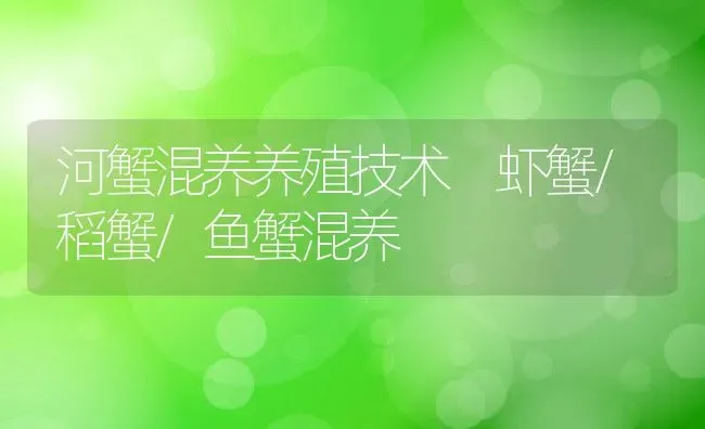 河蟹混养养殖技术 虾蟹/稻蟹/鱼蟹混养 | 动物养殖百科