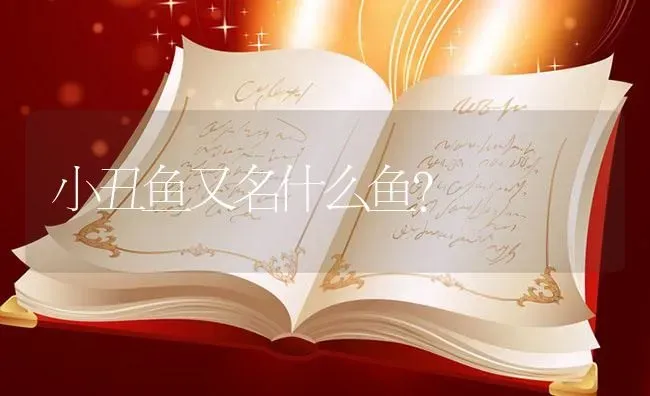 中华草龟怎么养才听话？ | 动物养殖问答