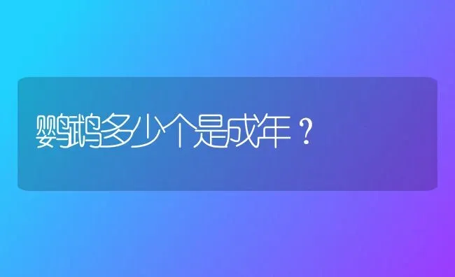 鹦鹉多少个是成年？ | 动物养殖问答