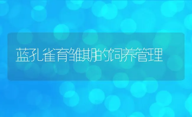 蓝孔雀育雏期的饲养管理 | 动物养殖饲料