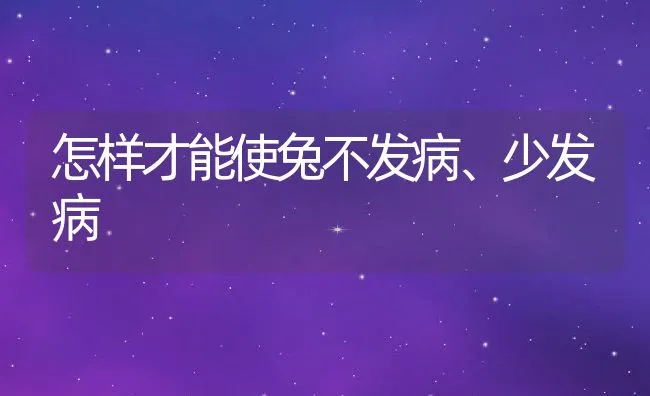 怎样才能使兔不发病、少发病 | 动物养殖学堂