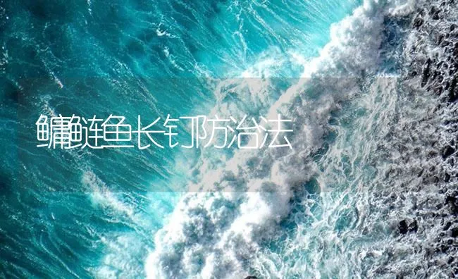 鳙鲢鱼长钉防治法 | 海水养殖技术