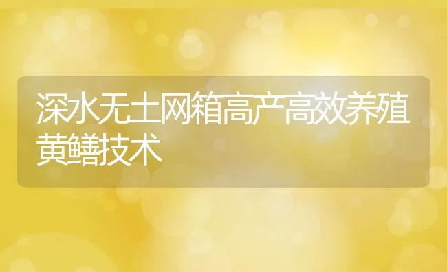 深水无土网箱高产高效养殖黄鳝技术 | 动物养殖饲料