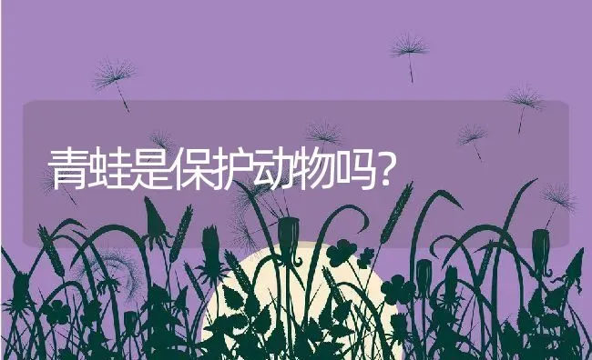 青蛙是保护动物吗？ | 动物养殖百科