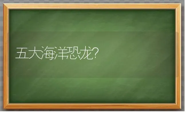 刚买的乌龟一直动怎么办？ | 动物养殖问答