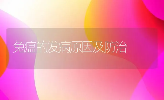 兔瘟的发病原因及防治 | 动物养殖学堂