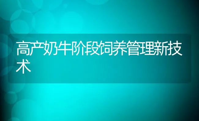 高产奶牛阶段饲养管理新技术 | 动物养殖学堂