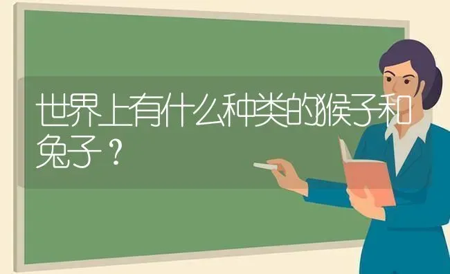 世界上有什么种类的猴子和兔子？ | 动物养殖问答