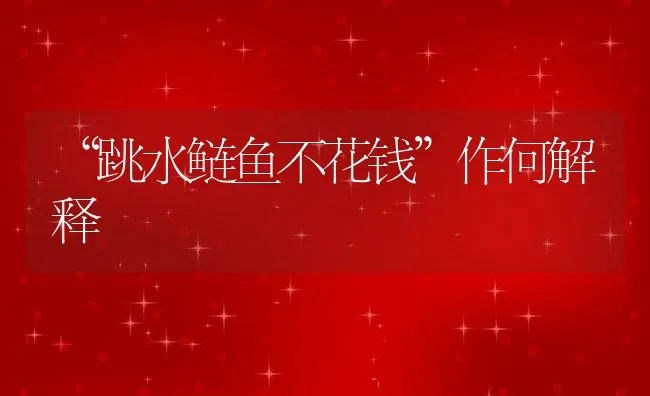 “跳水鲢鱼不花钱”作何解释 | 动物养殖饲料