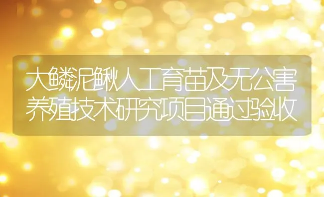 大鳞泥鳅人工育苗及无公害养殖技术研究项目通过验收 | 水产养殖知识