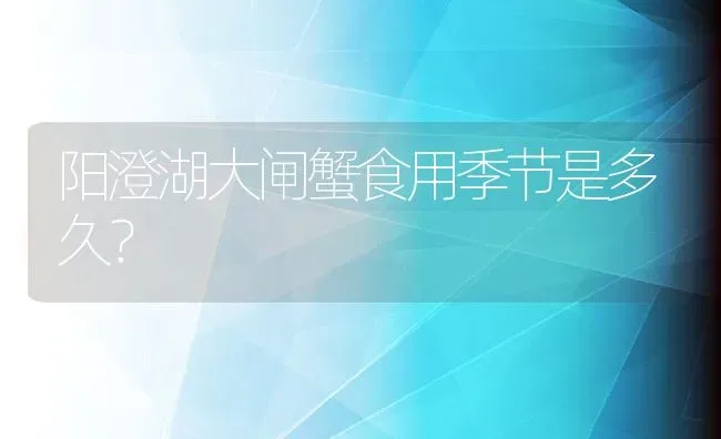 阳澄湖大闸蟹食用季节是多久？ | 动物养殖百科