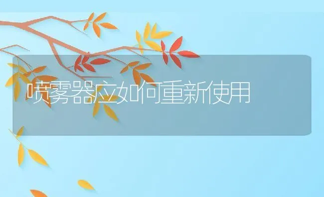 喷雾器应如何重新使用 | 水产养殖知识