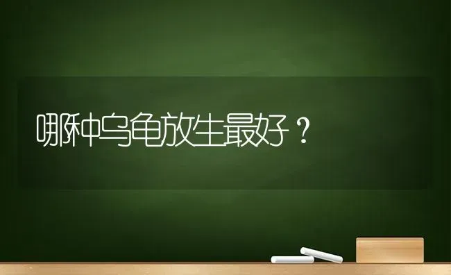 哪种乌龟放生最好？ | 动物养殖问答