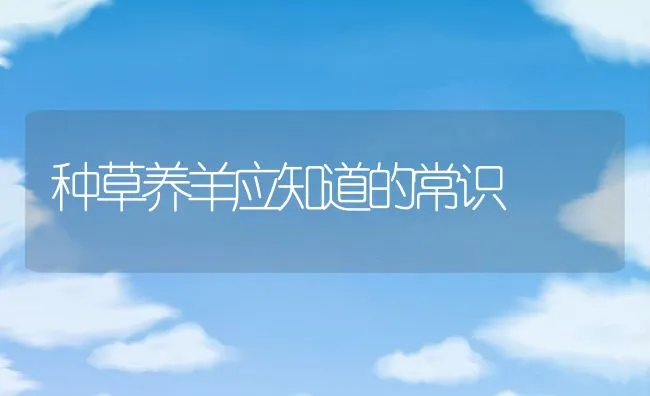 渔用牧草栽培、利用和增产技术 | 海水养殖技术