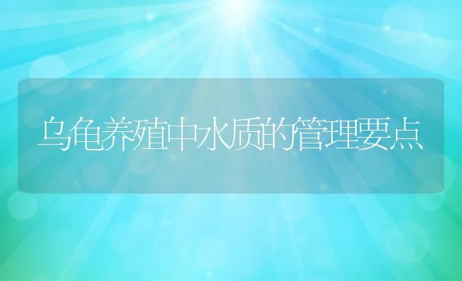 乌龟养殖中水质的管理要点 | 动物养殖学堂