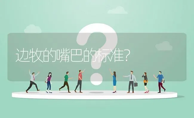 边牧的嘴巴的标准？ | 动物养殖问答