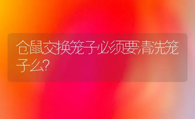 仓鼠交换笼子必须要清洗笼子么？ | 动物养殖问答