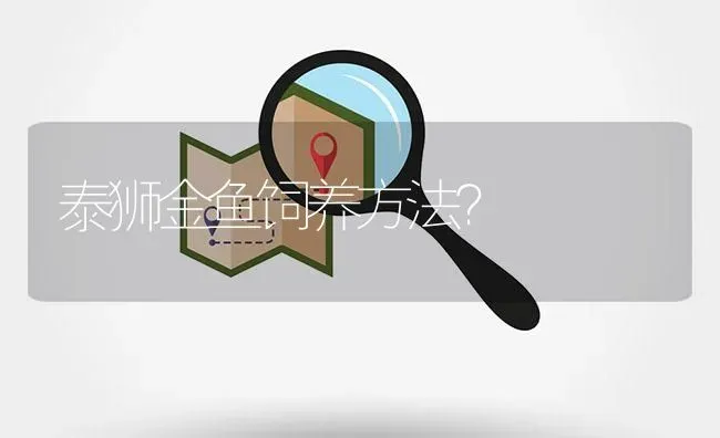 泰狮金鱼饲养方法？ | 鱼类宠物饲养