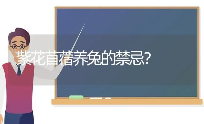 紫花苜蓿养兔的禁忌？ | 动物养殖问答