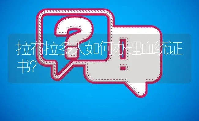 阿拉斯加巨型犬温顺吗？我朋友有几条，是已经成年了的，会不会很认主人，不理会我，如果我接受继续养的话？ | 动物养殖问答