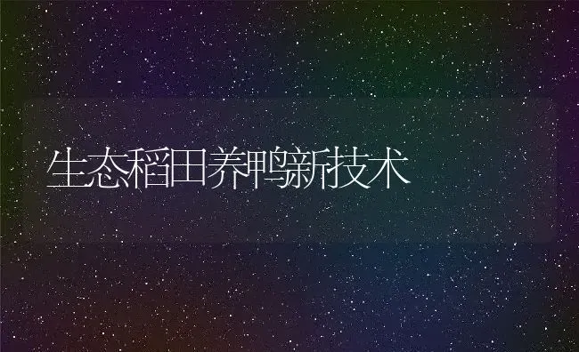 生态稻田养鸭新技术 | 动物养殖百科