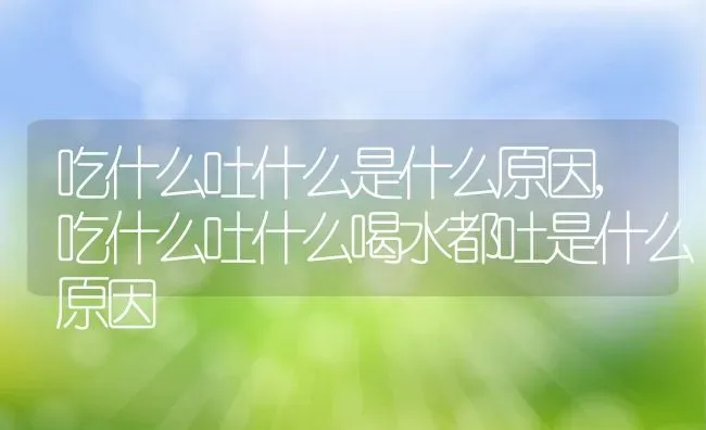 吃什么吐什么是什么原因,吃什么吐什么喝水都吐是什么原因 | 宠物百科知识