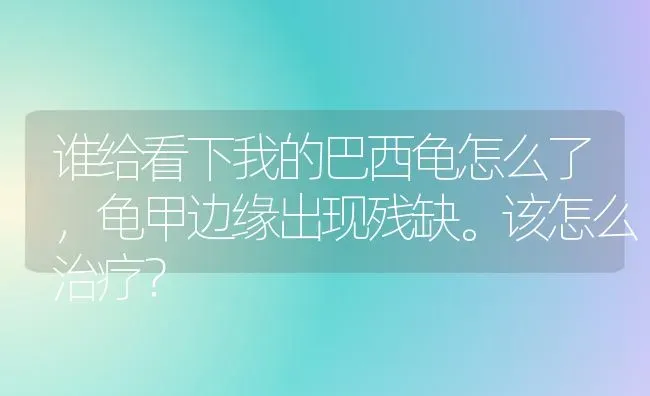 谁给看下我的巴西龟怎么了，龟甲边缘出现残缺。该怎么治疗？ | 动物养殖问答